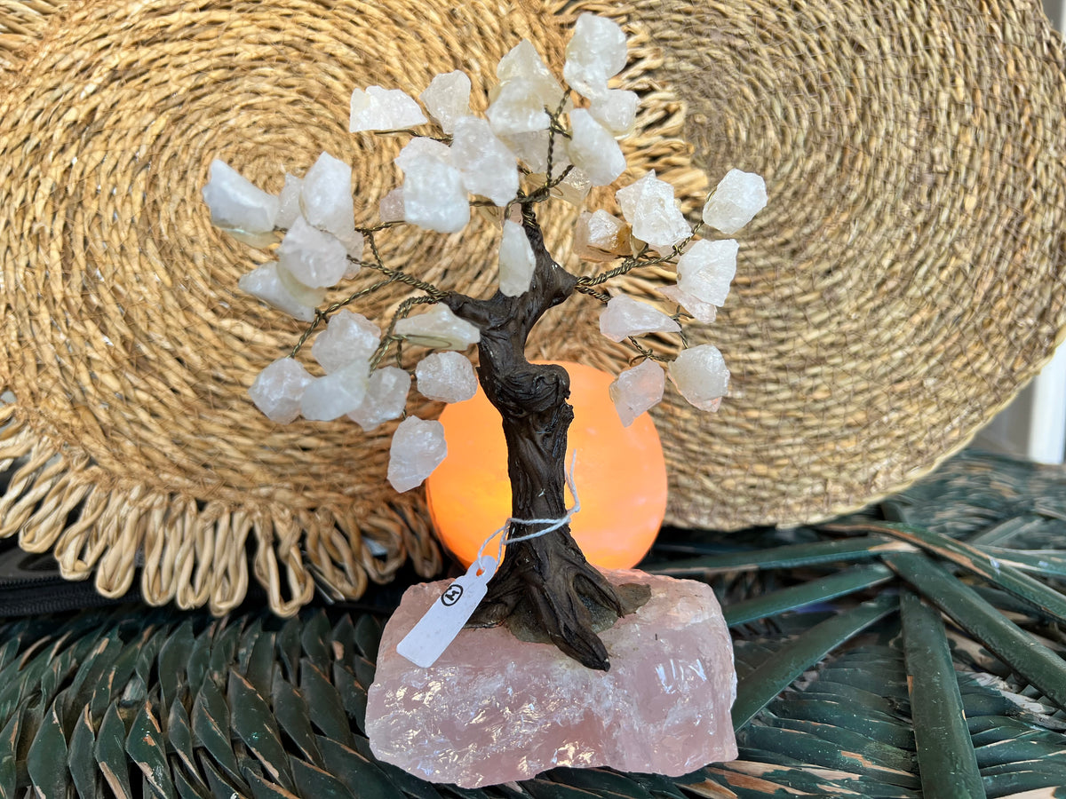 Crystal Trees