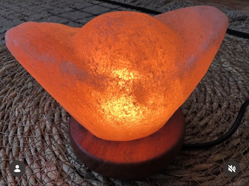 Purifying Himalayan Salt Lotus Lamp