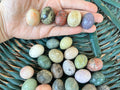 Natural Crystal Egg Collection