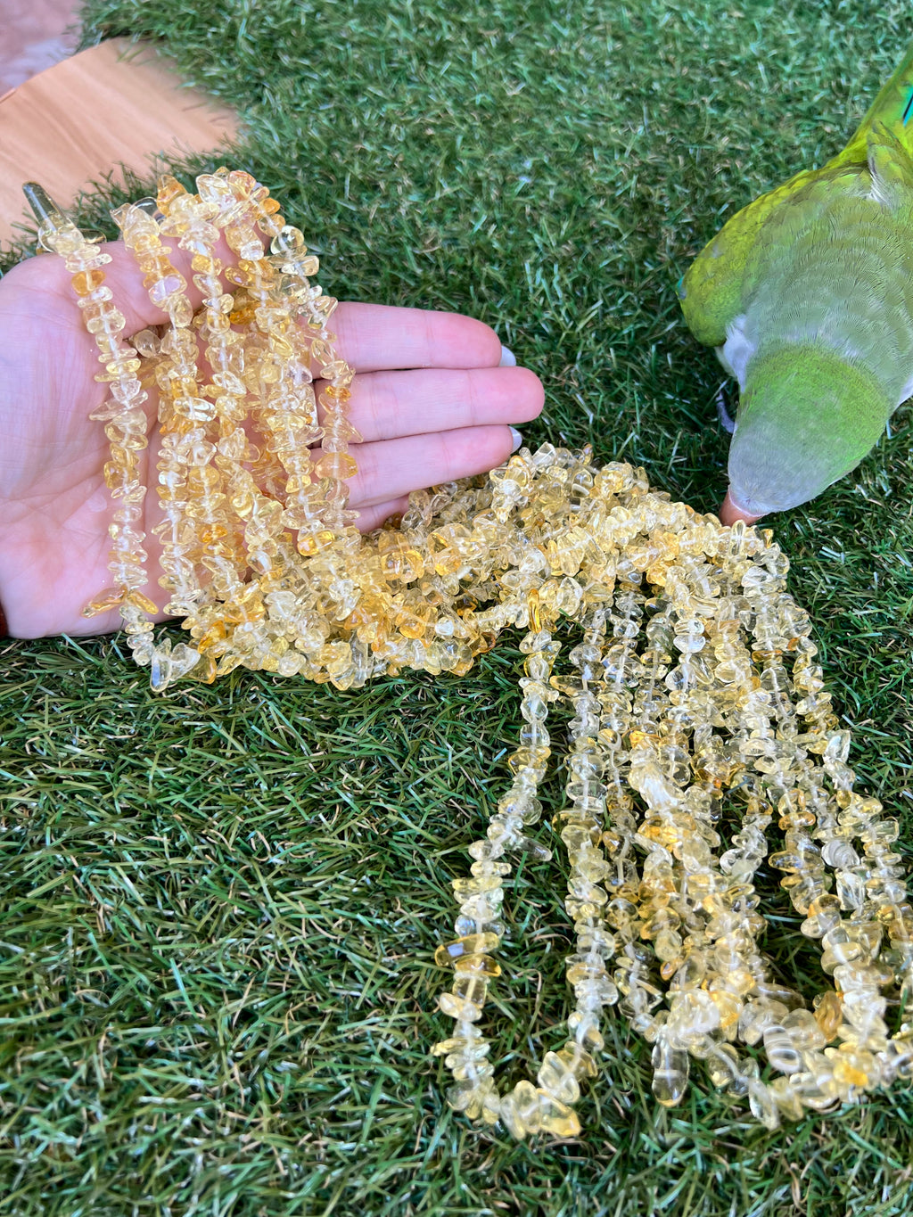 Natural Citrine Chip Necklace | Genuine Irregular Gemstone Chips | Abundance, Success & Positive Energy