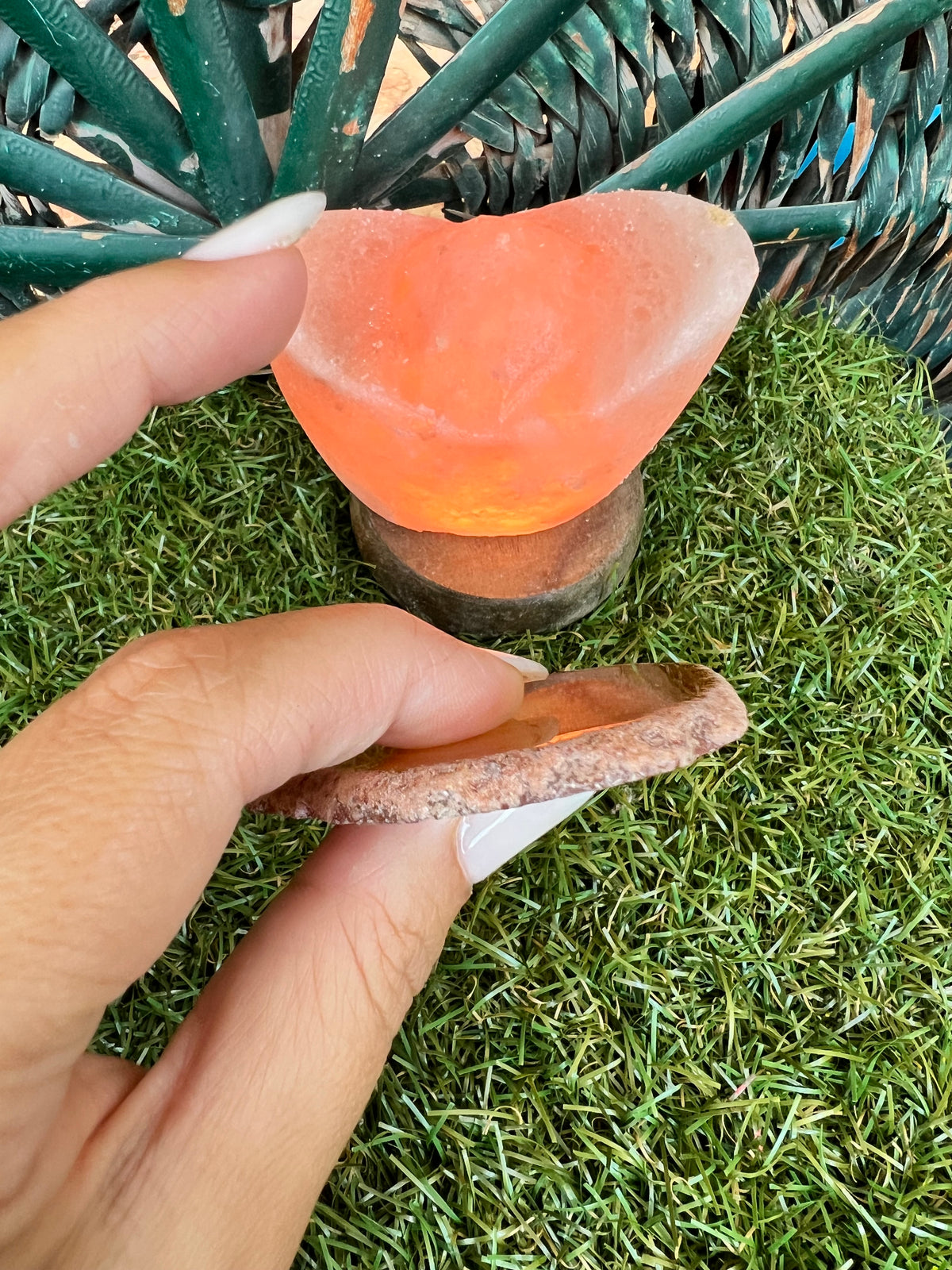 Natural Agate Eye Slice – Grounding, Balance & Protection | 36 g