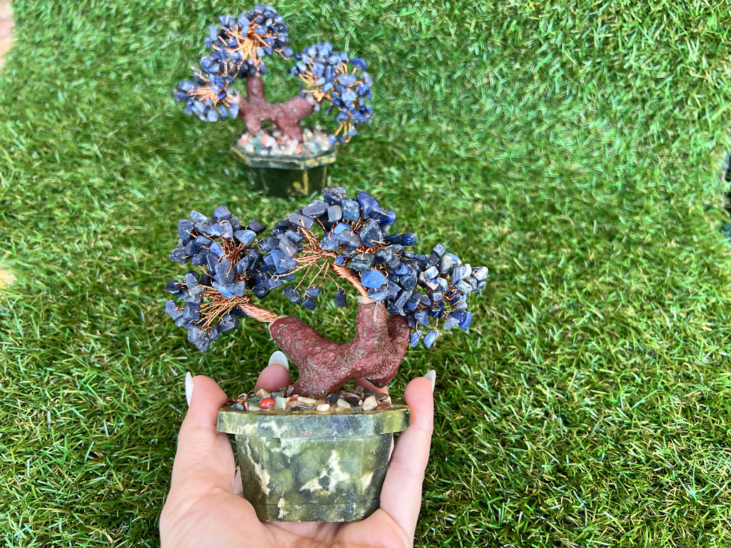 Natural Sodalite Bonsai Tree | Genuine Gemstone Tree in a Hand-Carved Natural Green Stone Pot | Wisdom & Communication