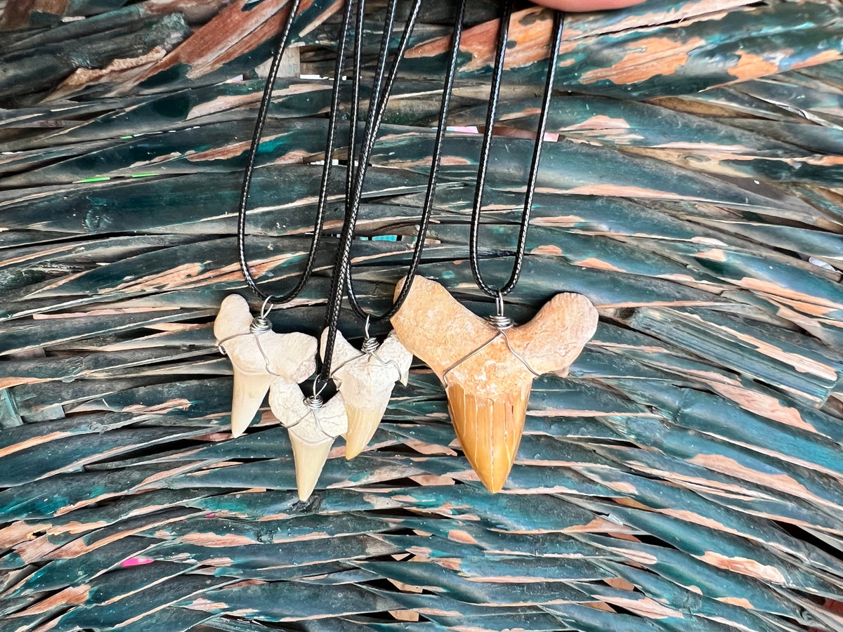 Genuine Fossilized Shark Tooth Necklace | Millions of Years Old | Adjustable Cord | Medium & Large