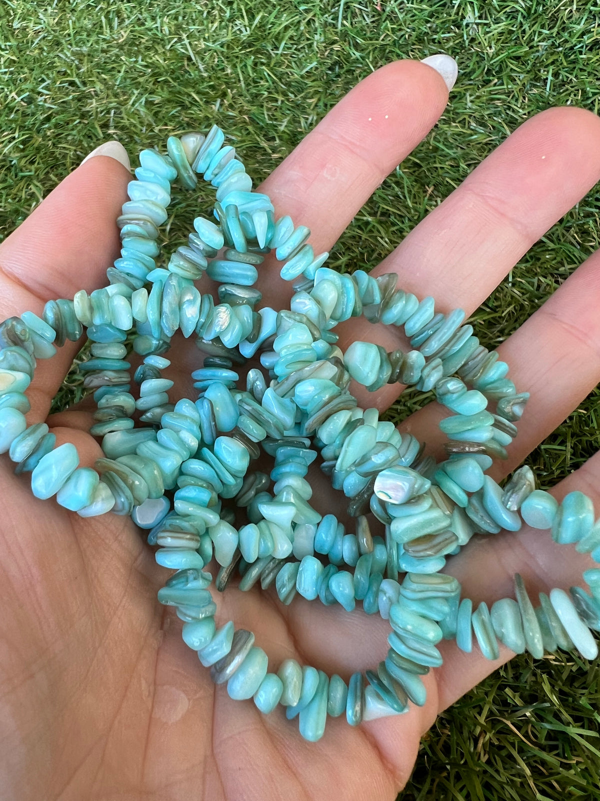 Natural Dyed Shell Chip Necklace | Lightweight Coastal Style Necklace