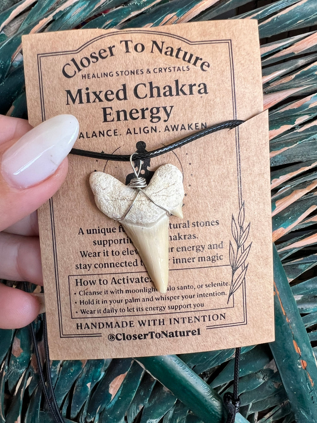 Genuine Fossilized Shark Tooth Necklace | Millions of Years Old | Adjustable Cord | Medium & Large