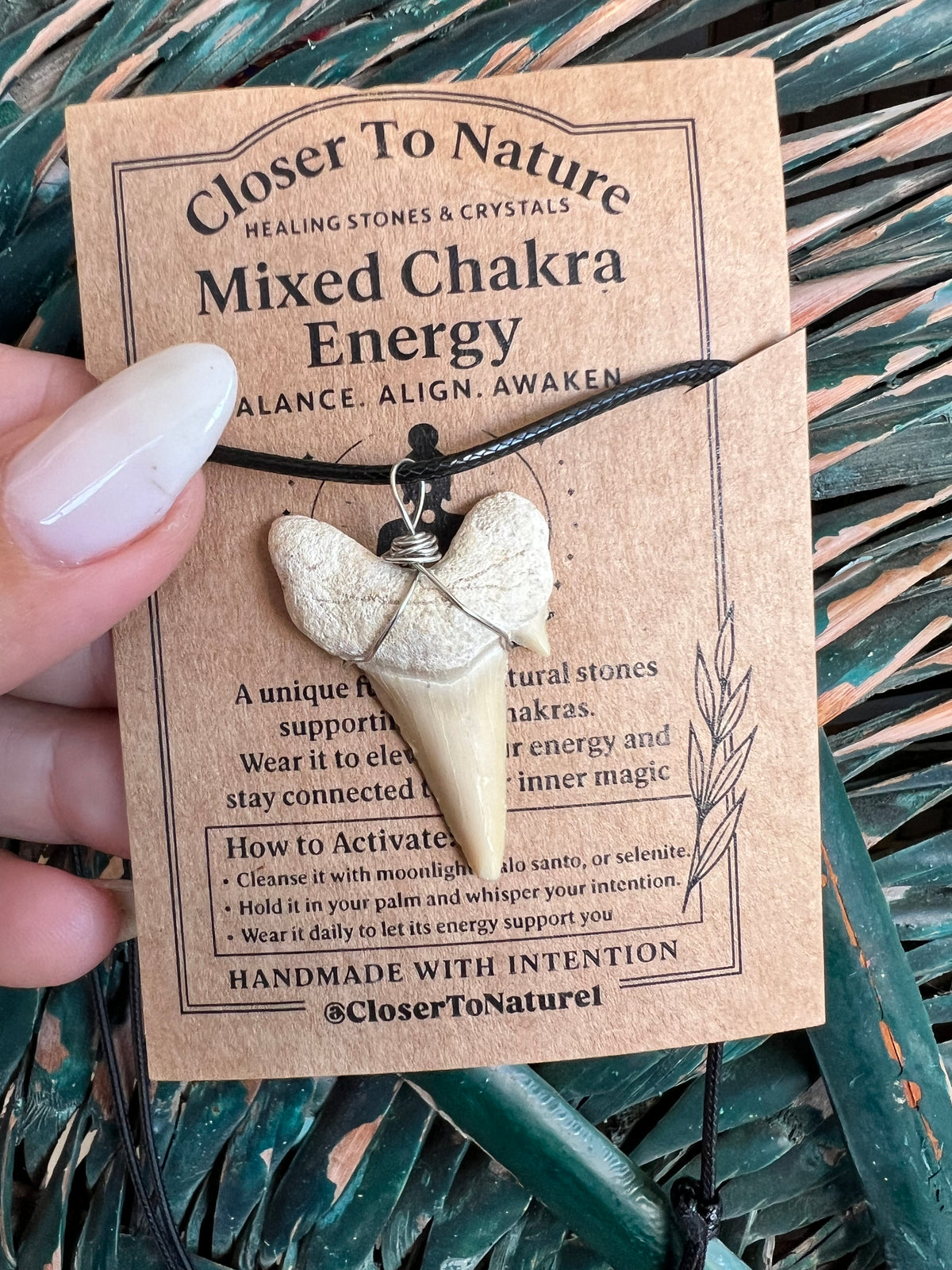 Genuine Fossilized Shark Tooth Necklace | Millions of Years Old | Adjustable Cord | Medium & Large
