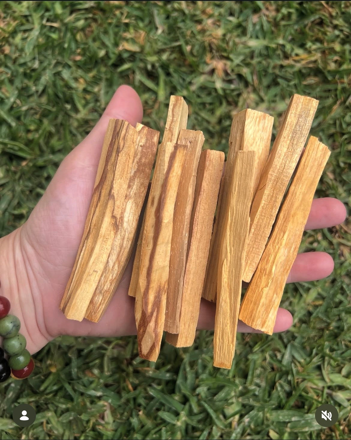 Natural Palo Santo Sticks – Cleansing & Relaxation