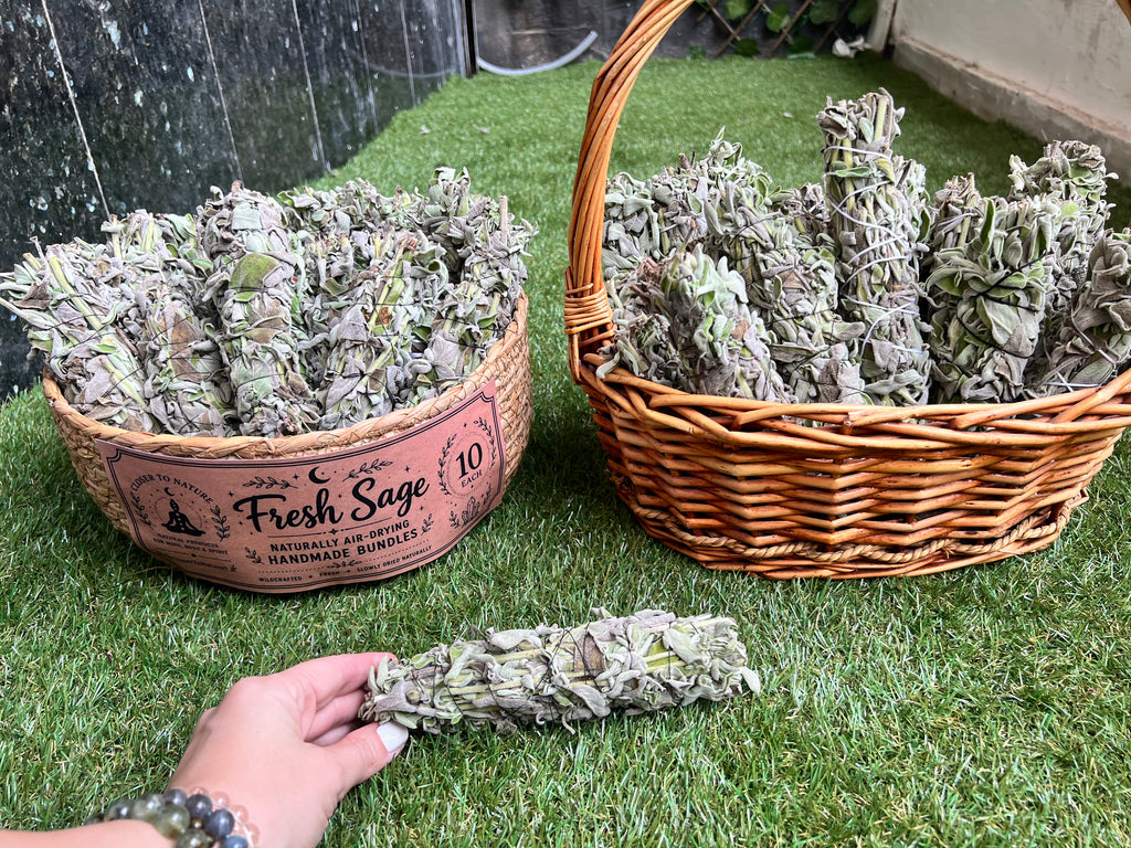 Fresh Sage Smudge Bundle – Natural Cleansing Stick