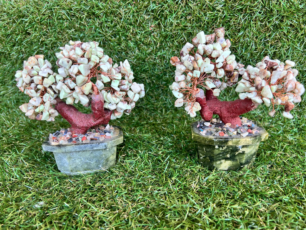 Natural Chrysoprase Bonsai Tree | Genuine Gemstone Tree in a Hand-Carved Natural Green Stone Pot | Growth & Prosperity