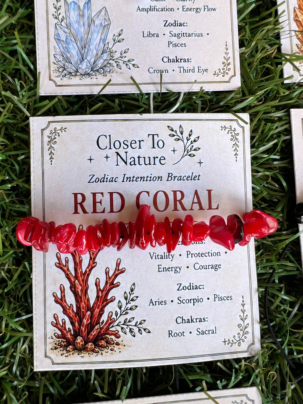 Red Coral Zodiac Bracelet – Vitality, Protection & Courage | Aries, Scorpio & Pisces