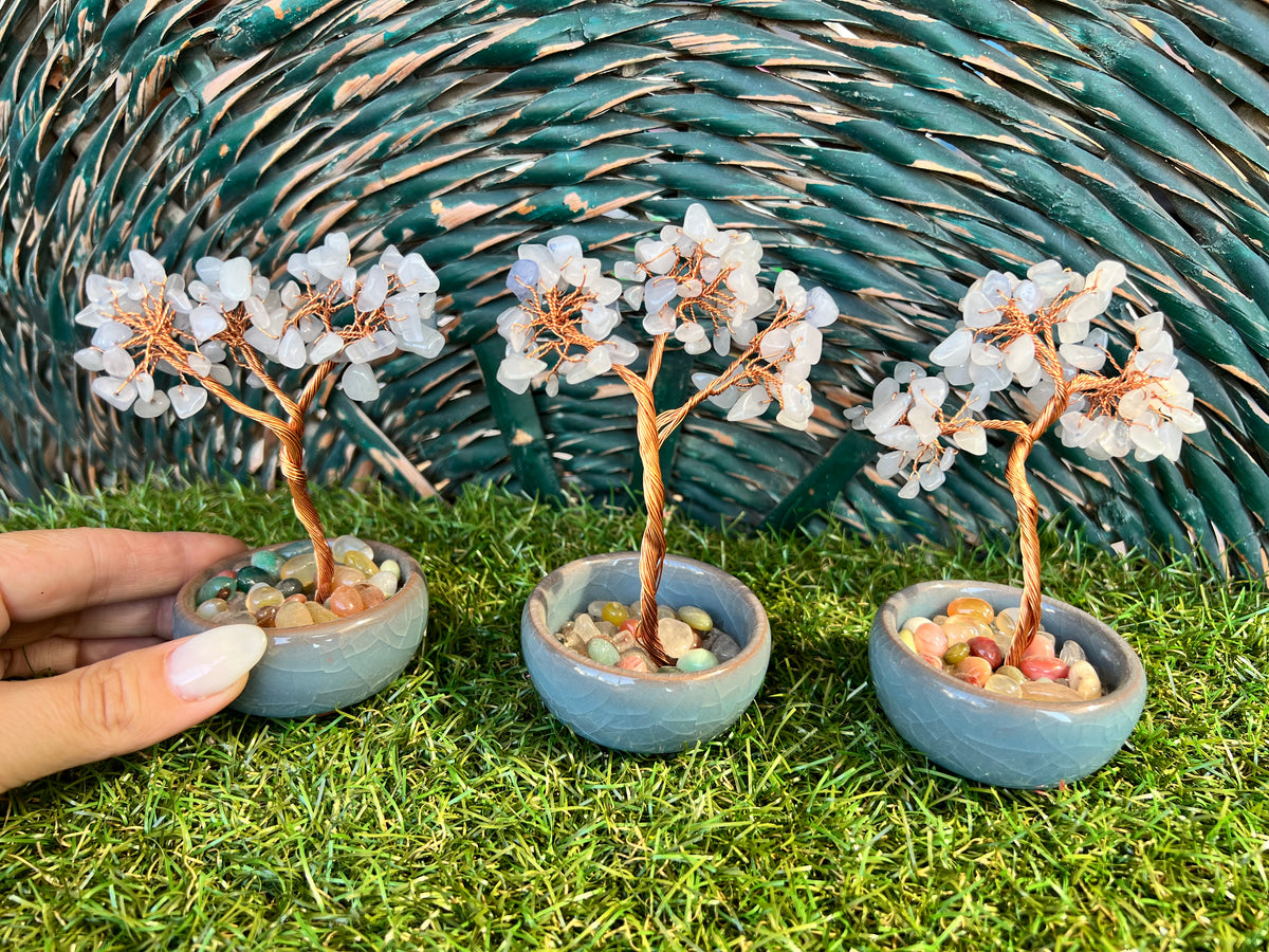 Natural Blue Agate Bonsai Tree with 7 Chakra Gemstone Base | Harmony, Communication & Balance