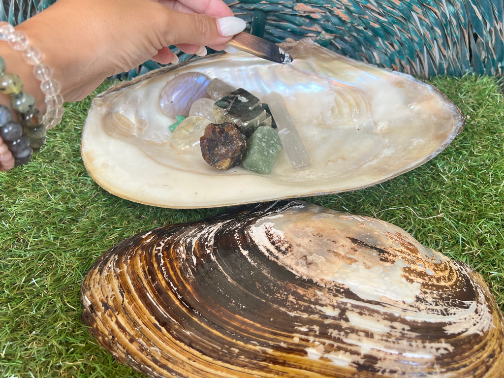 Natural Abalone Shell | Cleansing, Smudging & Ritual Bowl
