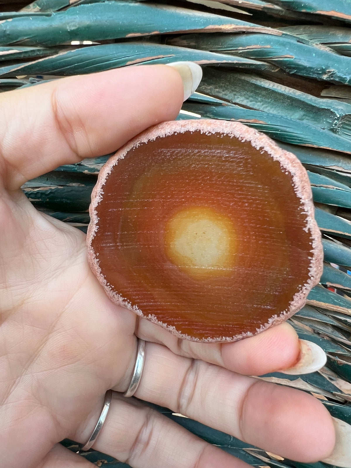 Natural Agate Eye Slice – Grounding, Balance & Protection | 36 g