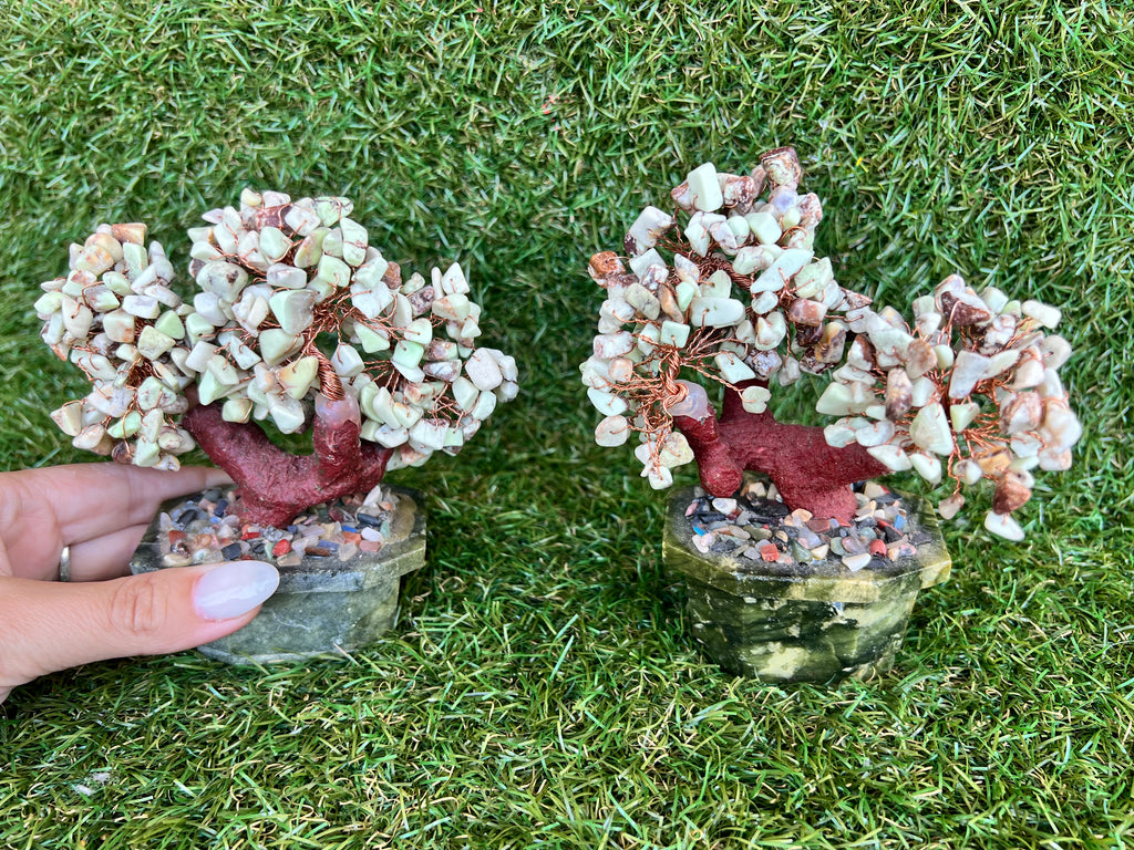 Natural Chrysoprase Bonsai Tree | Genuine Gemstone Tree in a Hand-Carved Natural Green Stone Pot | Growth & Prosperity