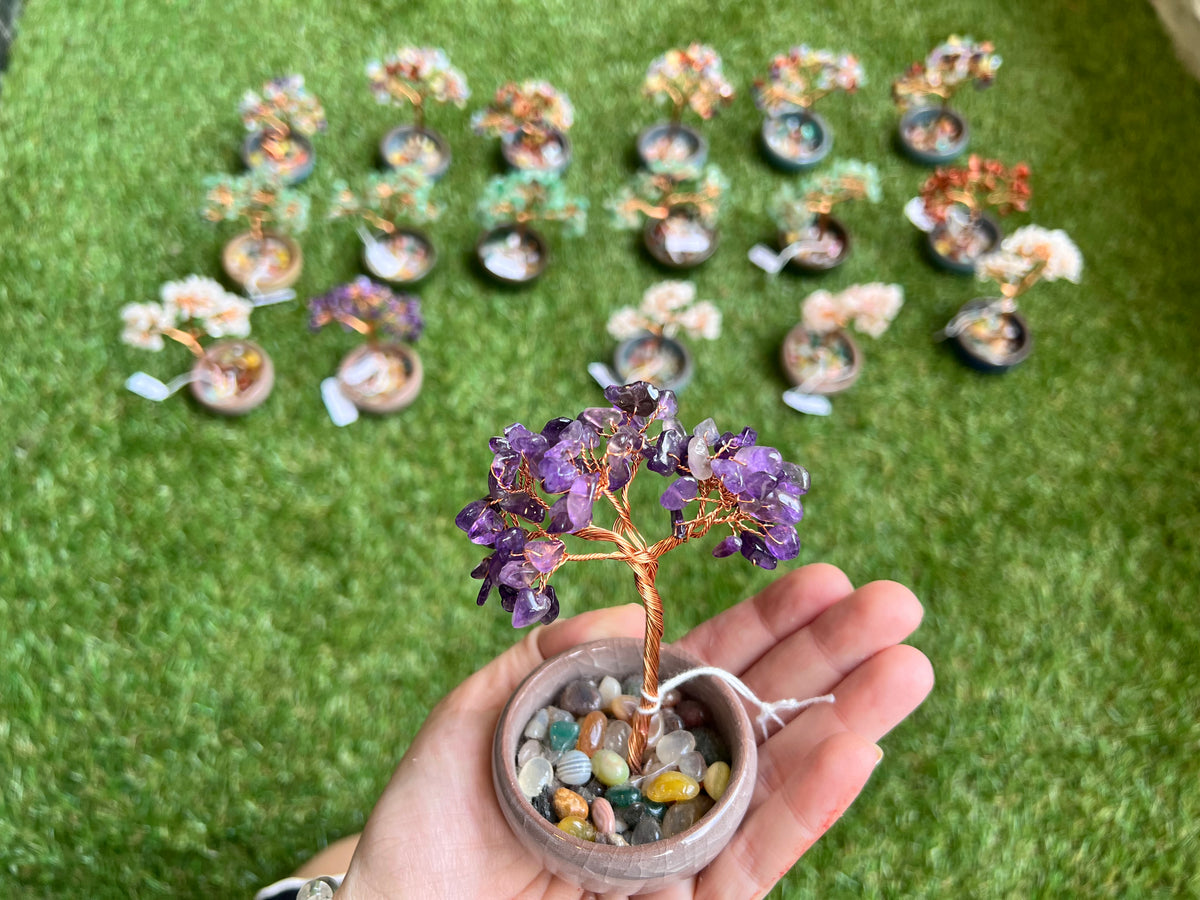 Amethyst Bonsai Crystal Tree in Ceramic Vase