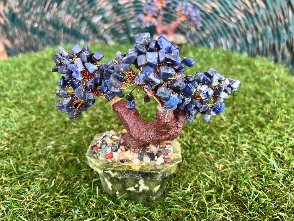 Natural Sodalite Bonsai Tree | Genuine Gemstone Tree in a Hand-Carved Natural Green Stone Pot | Wisdom & Communication