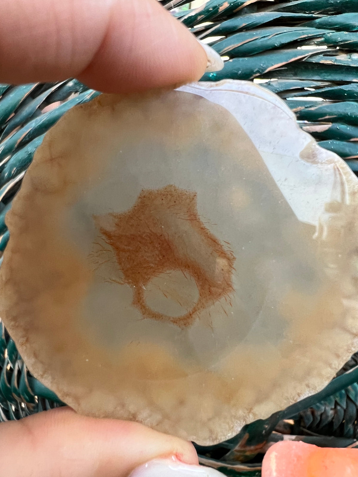 Natural Agate Eye Slice – Protection, Intuition & Grounding | 46g