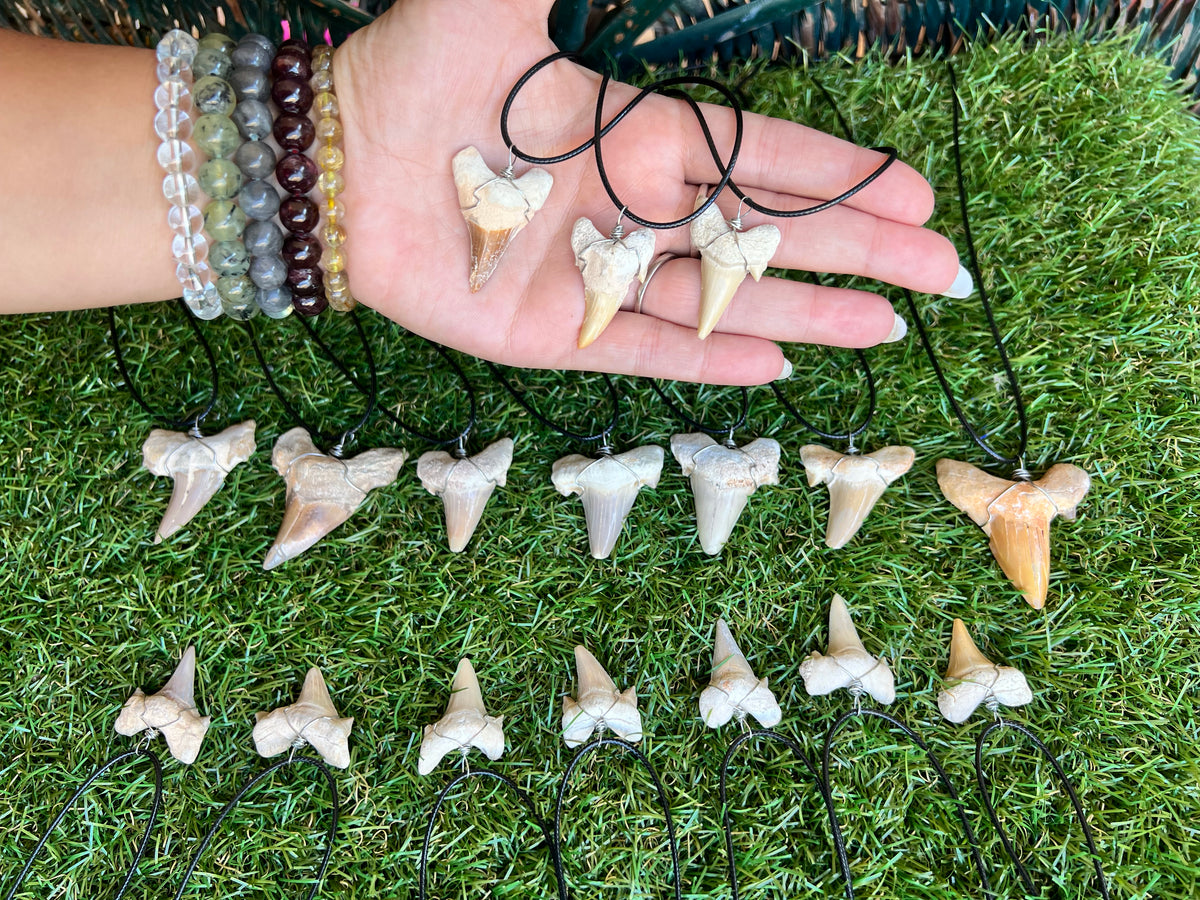 Genuine Fossilized Shark Tooth Necklace | Millions of Years Old | Adjustable Cord | Medium & Large