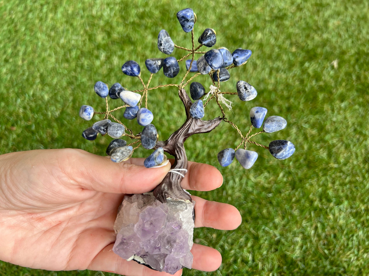 Wisdom Sodalite Crystal Tree Collection