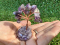 Mini Natural Crystal Tree in Glass Bowl | Rose Quartz, Amethyst & Tiger’s Eye | Handmade Gemstone Décor