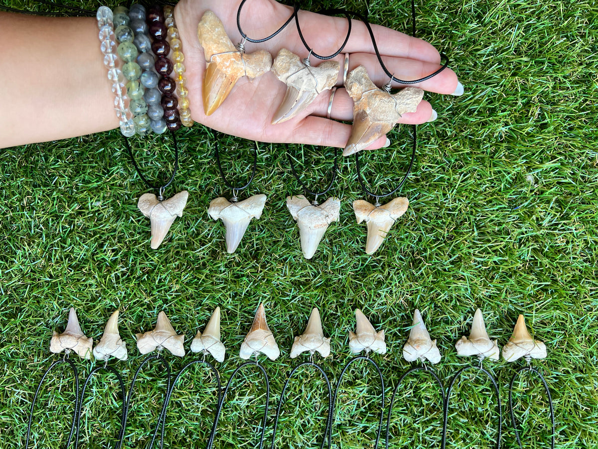 Genuine Fossilized Shark Tooth Necklace | Millions of Years Old | Adjustable Cord | Medium & Large