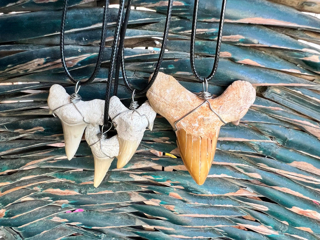 Genuine Fossilized Shark Tooth Necklace | Millions of Years Old | Adjustable Cord | Medium & Large