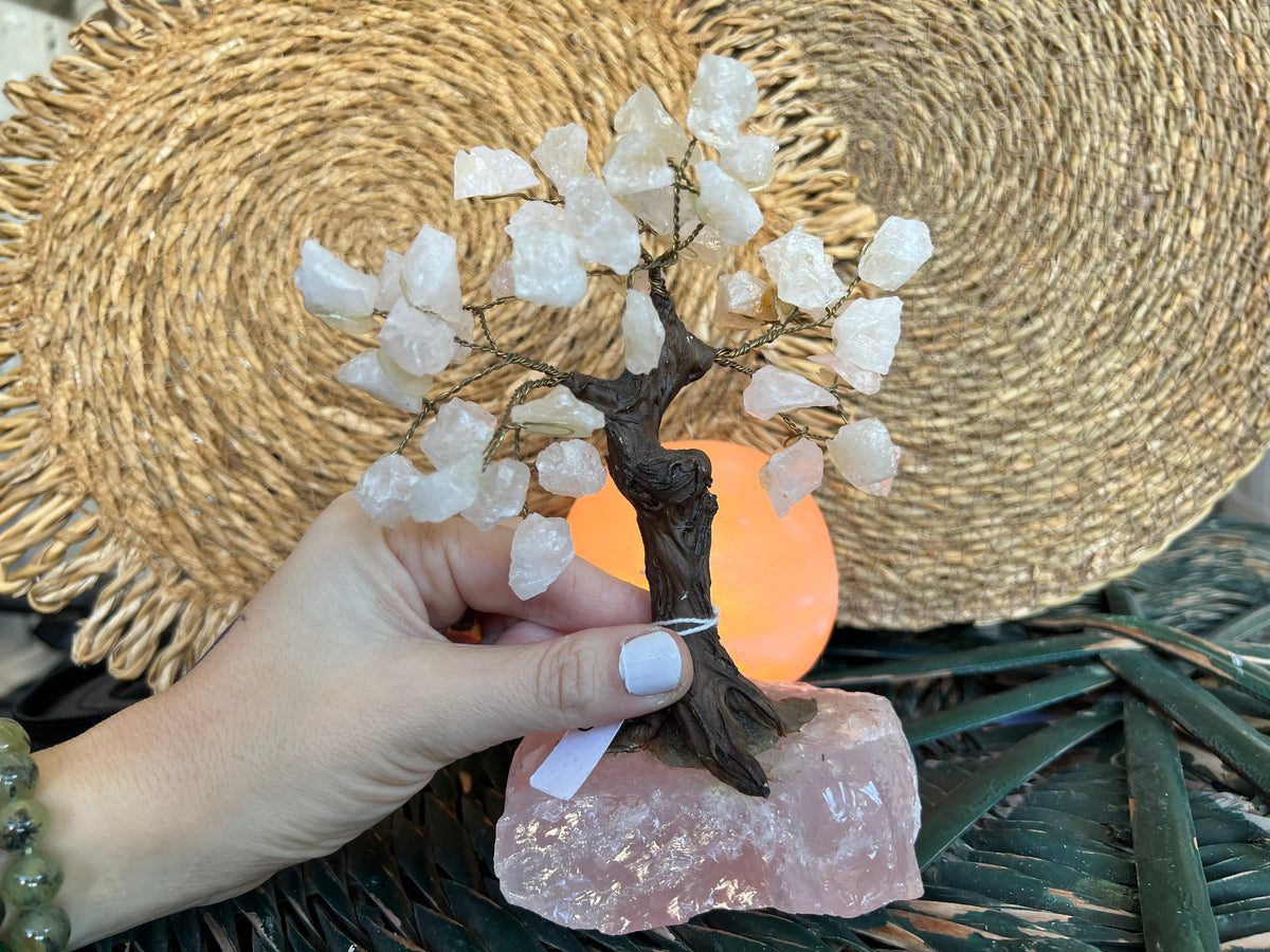 Natural Rose Quartz Crystal Tree on Rose Quartz Base