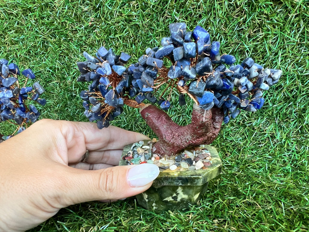 Natural Sodalite Bonsai Tree | Genuine Gemstone Tree in a Hand-Carved Natural Green Stone Pot | Wisdom & Communication