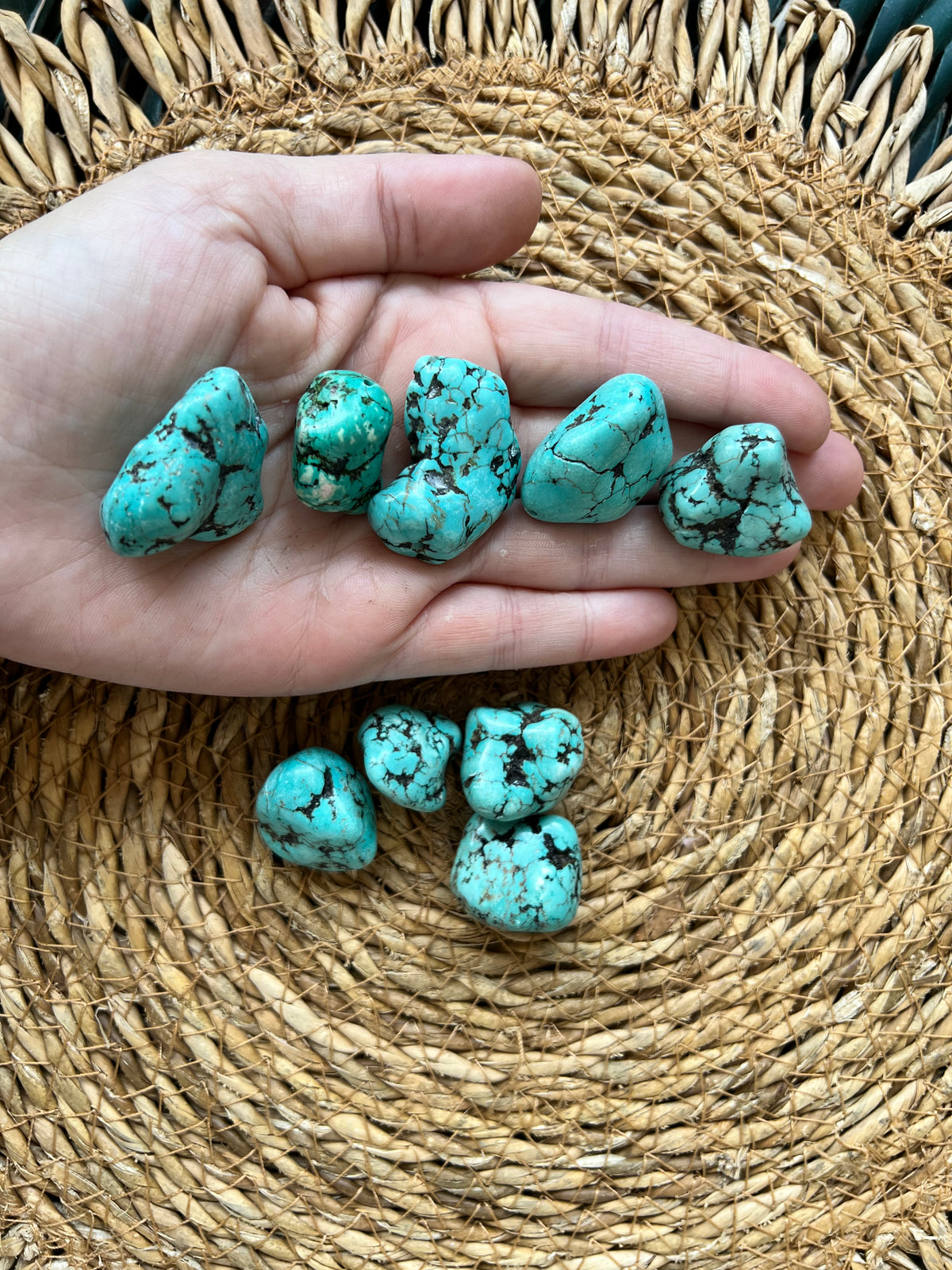 Blue Coral Polished Tumble