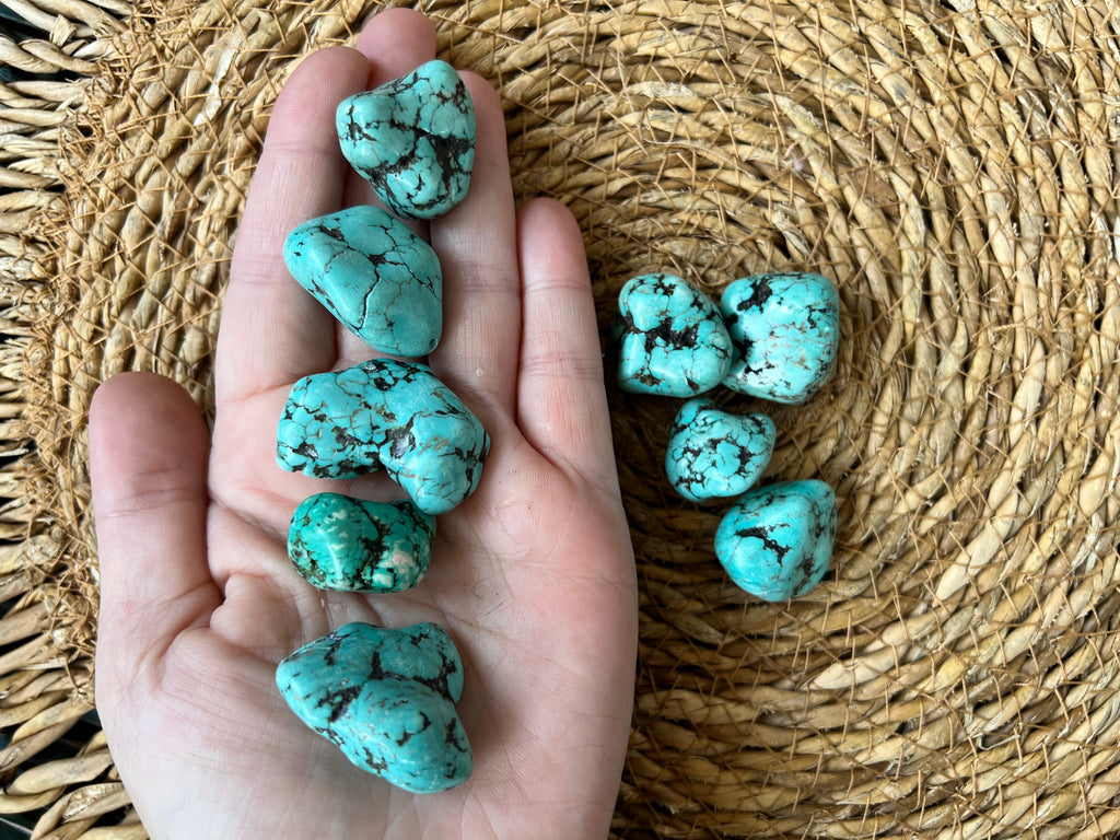Blue Coral Polished Tumble