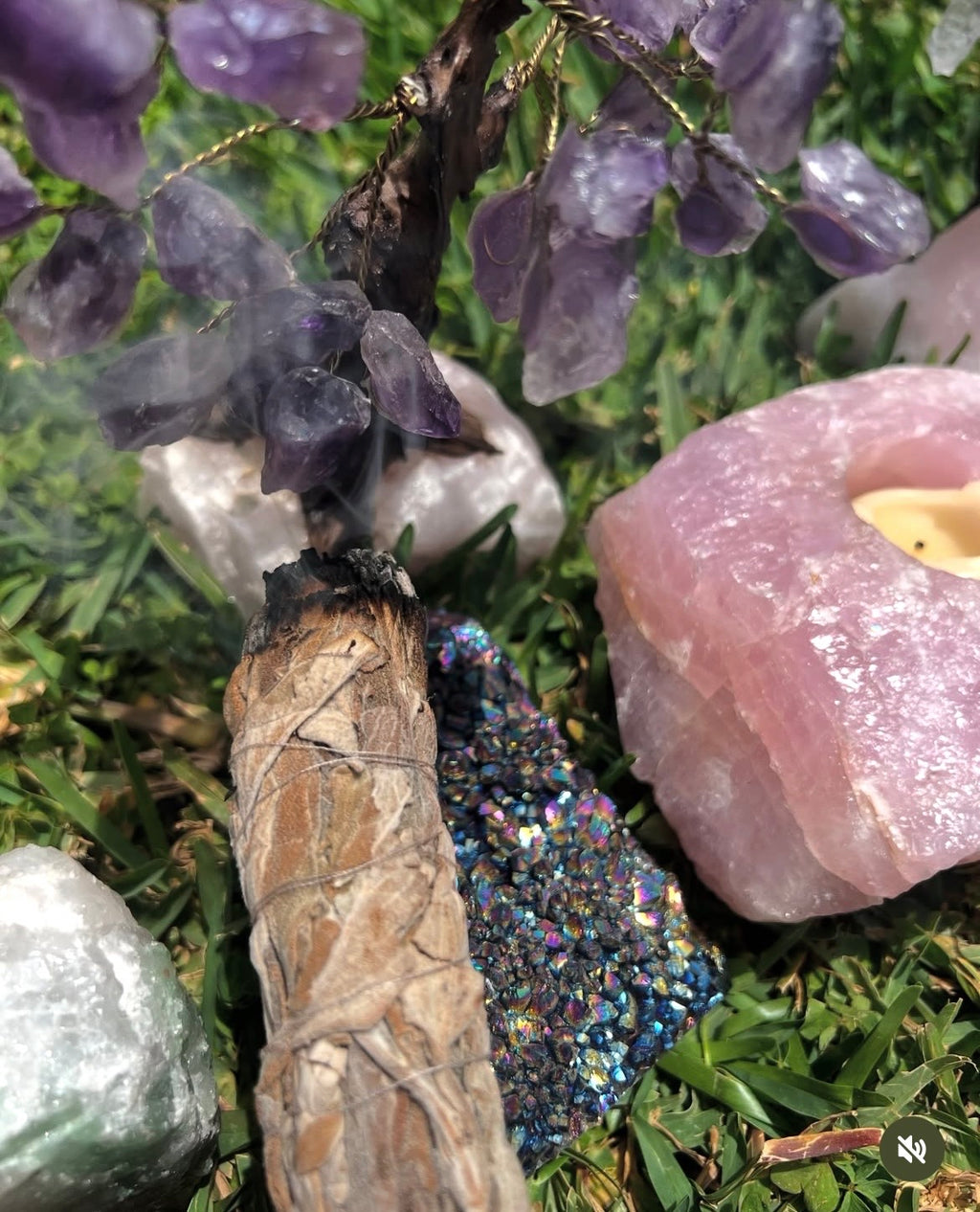 Fresh Sage Smudge Bundle – Natural Cleansing Stick