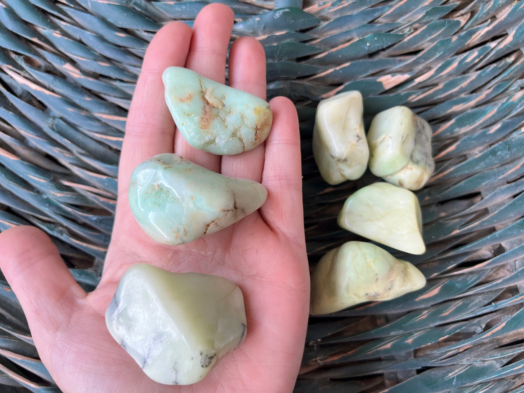 Natural Polished Chrysoprase Tumbles