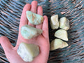 Natural Polished Chrysoprase Tumbles