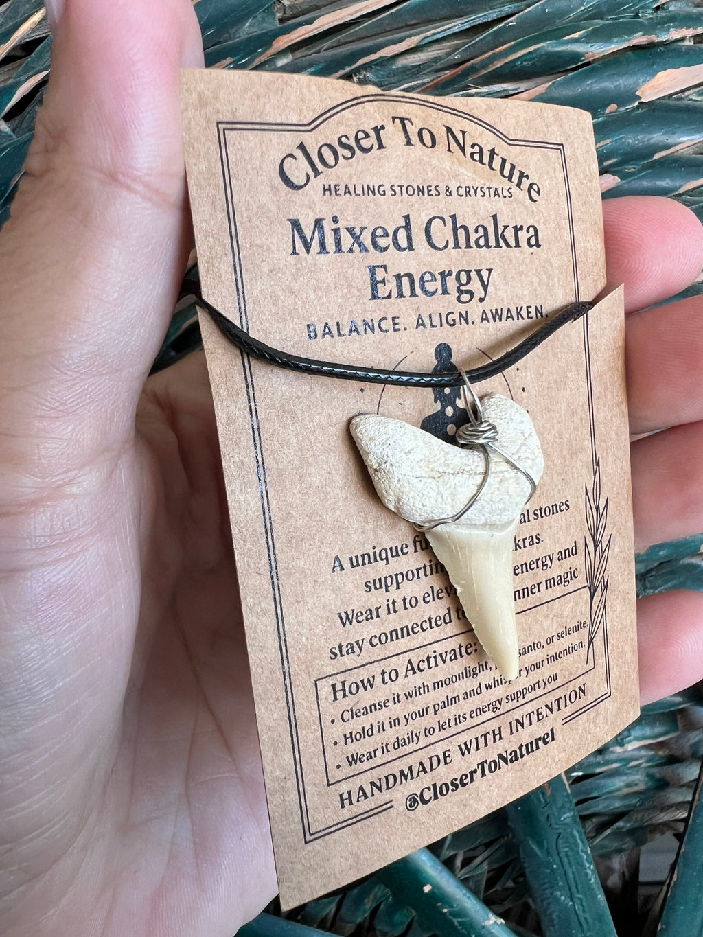 Genuine Fossilized Shark Tooth Necklace | Millions of Years Old | Adjustable Cord | Medium & Large