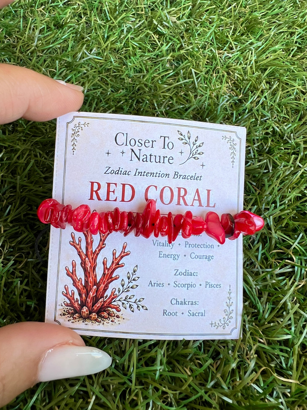 Red Coral Zodiac Bracelet – Vitality, Protection & Courage | Aries, Scorpio & Pisces