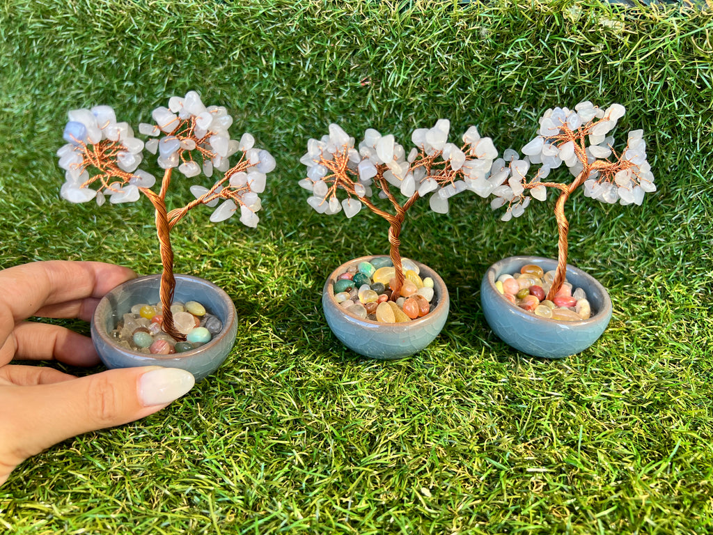 Natural Blue Agate Bonsai Tree with 7 Chakra Gemstone Base | Harmony, Communication & Balance