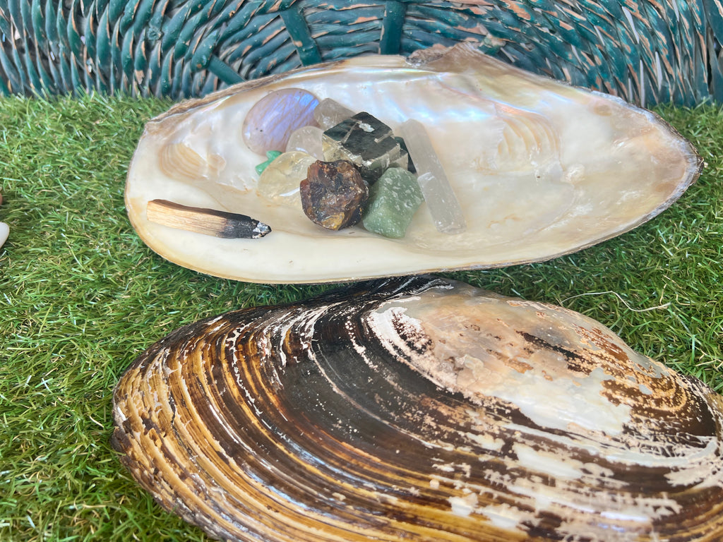 Natural Abalone Shell | Cleansing, Smudging & Ritual Bowl