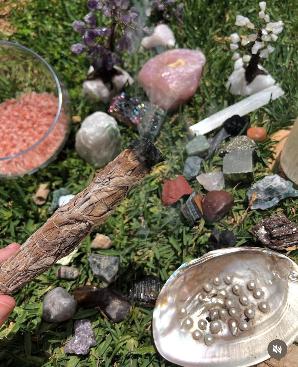 Fresh Sage Smudge Bundle – Natural Cleansing Stick
