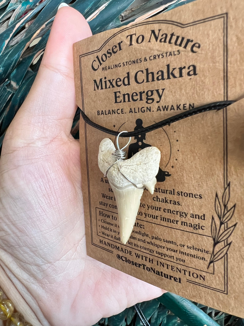 Genuine Fossilized Shark Tooth Necklace | Millions of Years Old | Adjustable Cord | Medium & Large