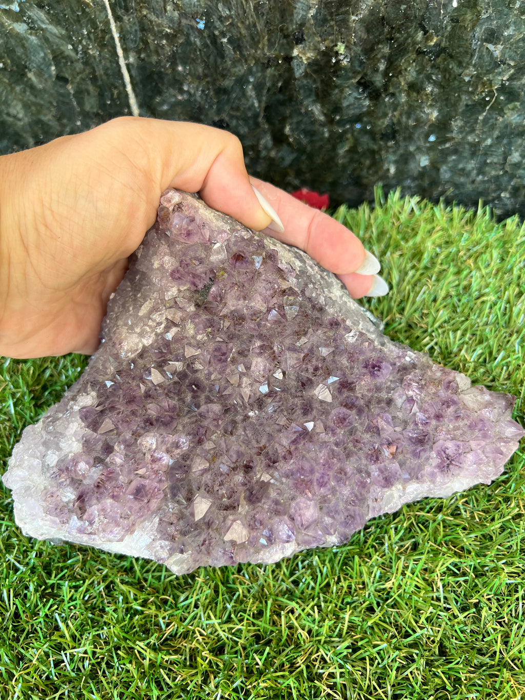 Natural Amethyst Cluster – Protection & Calm Display Crystal | 1,574 g