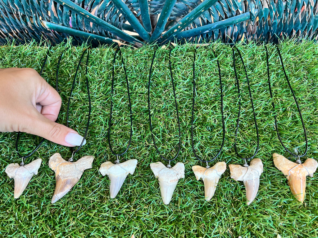 Genuine Fossilized Shark Tooth Necklace | Millions of Years Old | Adjustable Cord | Medium & Large