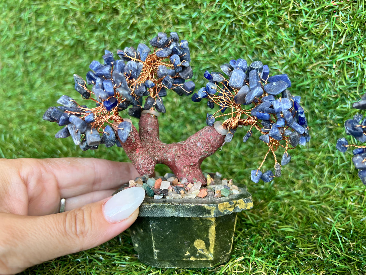 Natural Sodalite Bonsai Tree | Genuine Gemstone Tree in a Hand-Carved Natural Green Stone Pot | Wisdom & Communication
