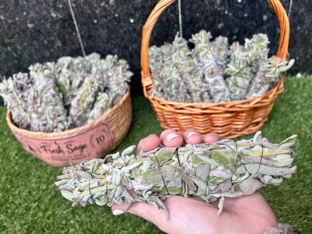 Fresh Sage Smudge Bundle – Natural Cleansing Stick