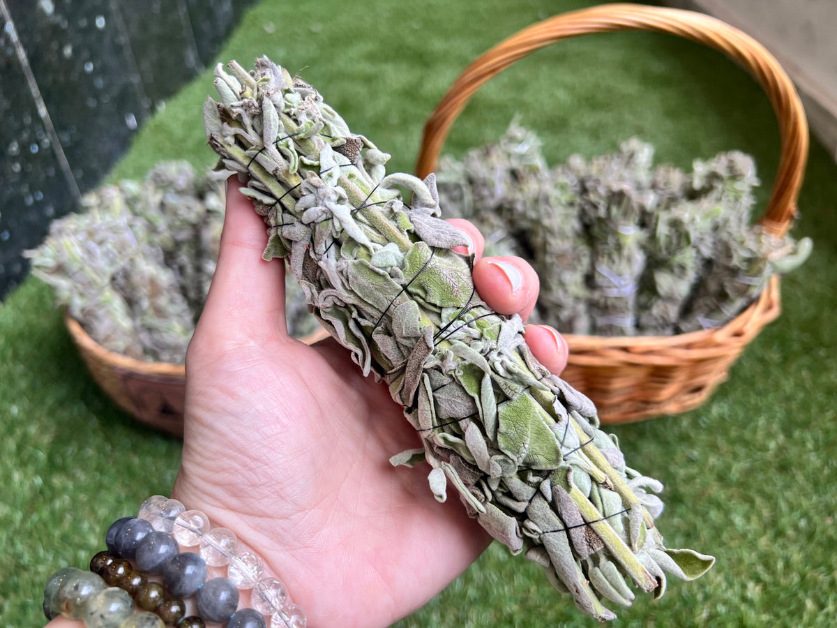 Fresh Sage Smudge Bundle – Natural Cleansing Stick