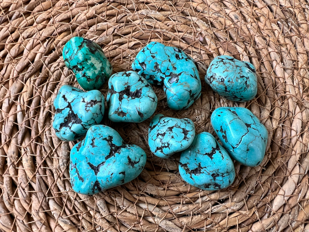 Blue Coral Polished Tumble
