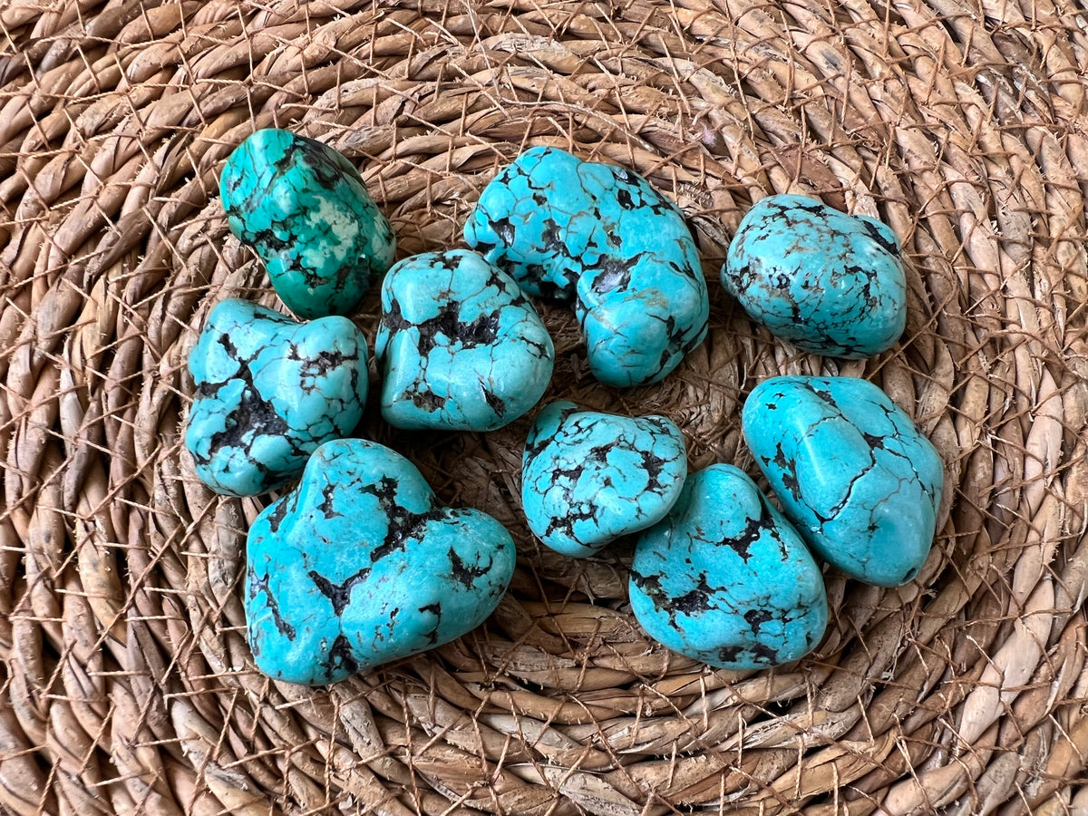 Blue Coral Polished Tumble
