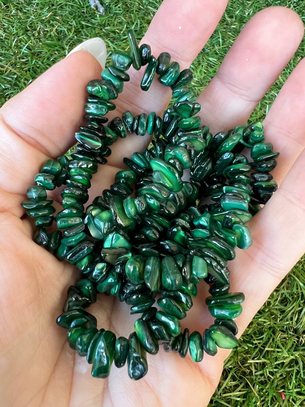 Natural Dyed Shell Chip Necklace | Lightweight Coastal Style Necklace