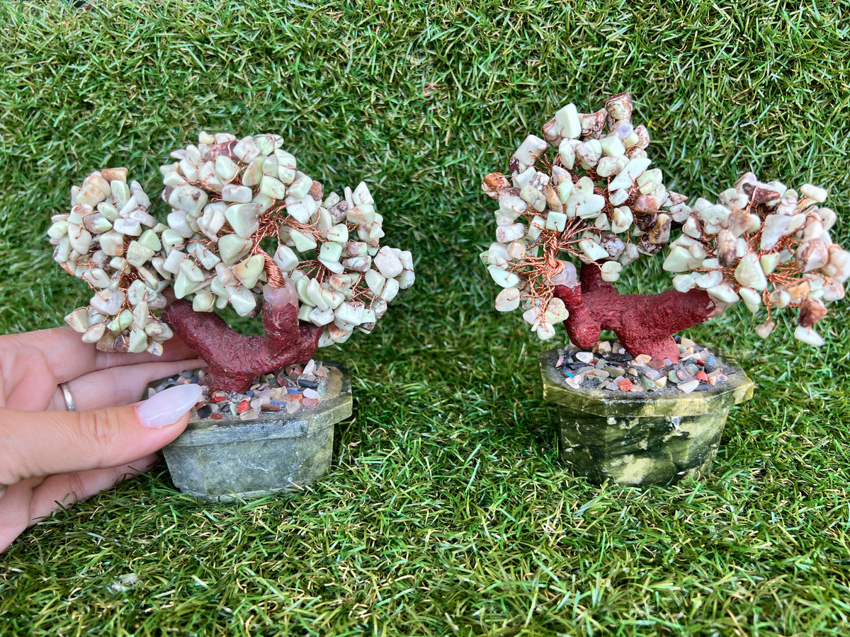 Natural Chrysoprase Bonsai Tree | Genuine Gemstone Tree in a Hand-Carved Natural Green Stone Pot | Growth & Prosperity