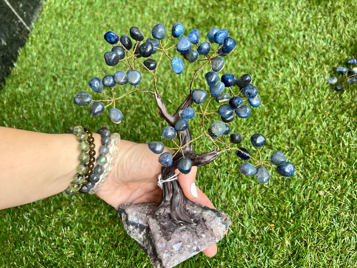 Wisdom Sodalite Crystal Tree Collection