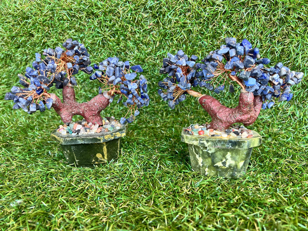 Natural Sodalite Bonsai Tree | Genuine Gemstone Tree in a Hand-Carved Natural Green Stone Pot | Wisdom & Communication